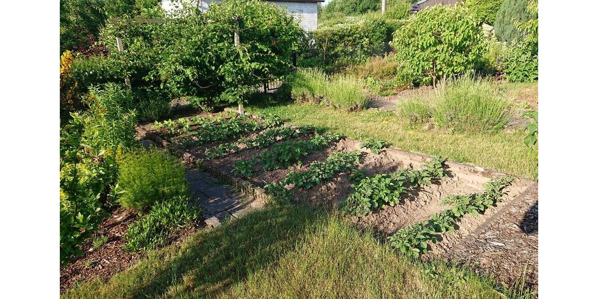 Grundstück Chemnitz Ebersdorf - 500&euro; | Angebot:22645483