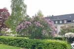 Etagenwohnung Chemnitz Lutherviertel - 2 Zimmer, 43 m&sup2;, 280&euro; | Angebot:26528703