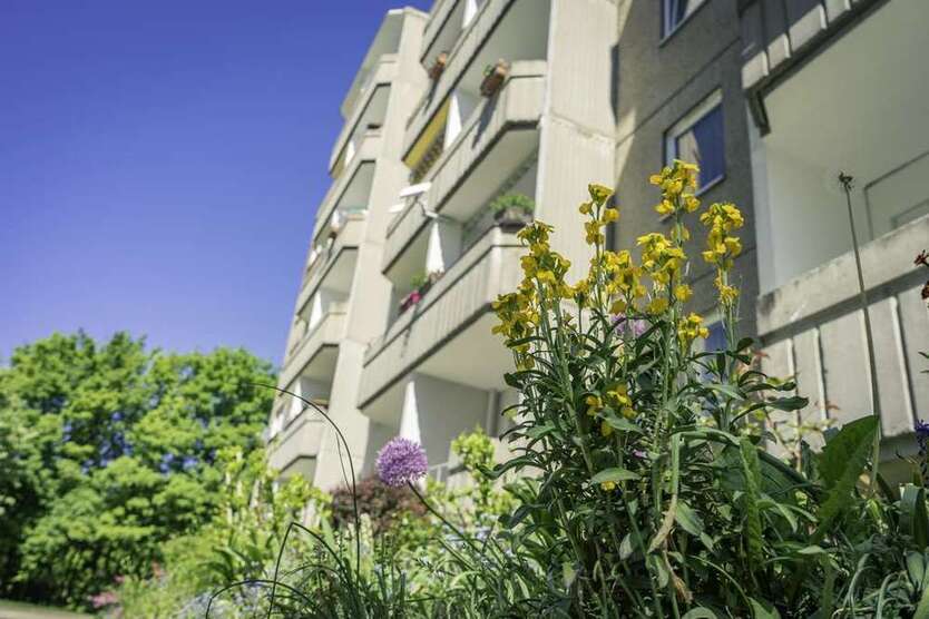 Wohnung zum Mieten in Chemnitz 280 € 53.21 m²