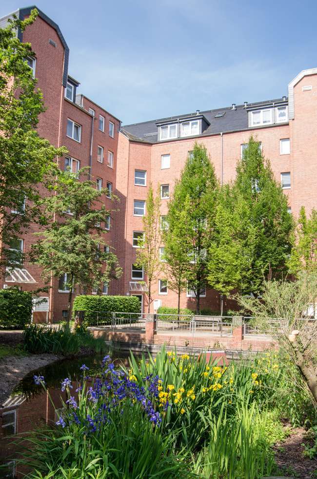 Wohnung zum Mieten in Chemnitz 343,78 € 52.09 m²