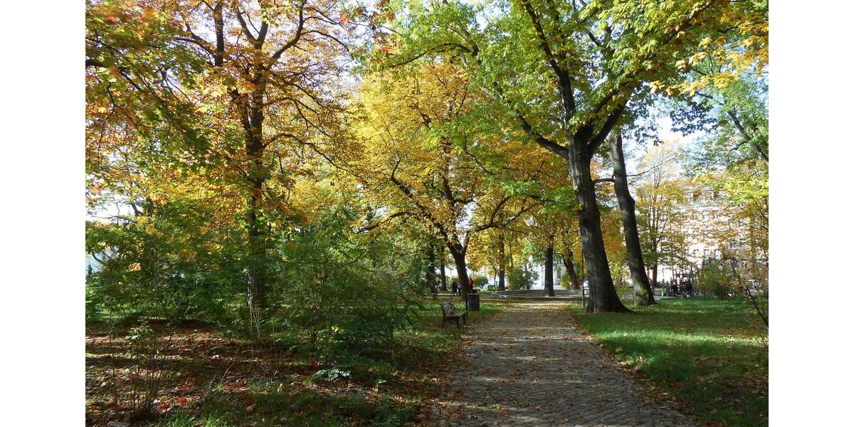 Etagenwohnung Chemnitz Ebersdorf - 1 Zimmer, 33 m&sup2;, 200&euro; | Angebot:23292430