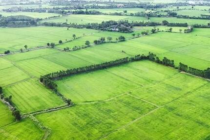 Grundstück Chemnitz Adelsberg - 1.900&euro; | Angebot:25085315