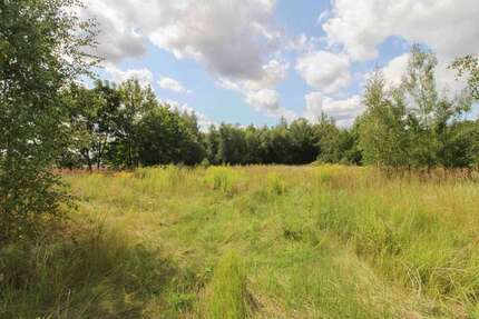 Grundstück zu verkaufen in Chemnitz 222.000 € 1200.22 m²