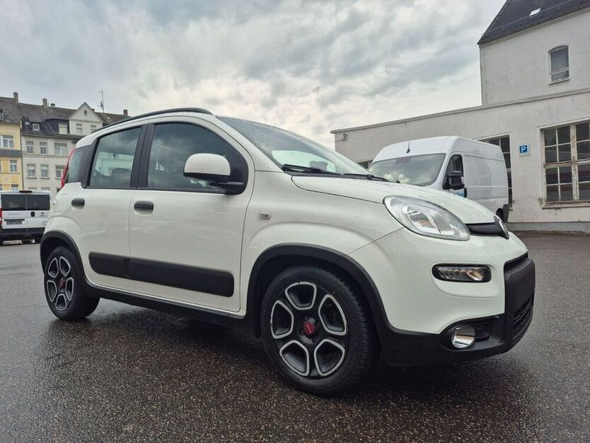 Panda