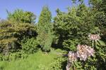 Einfamilienhaus Chemnitz Adelsberg - 5 Zimmer, 180.000&euro; | Angebot:26875328