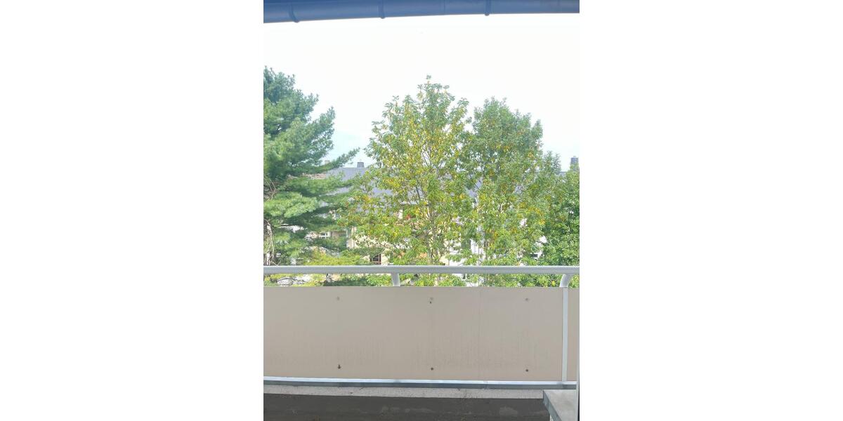 Dachgeschoßwohnung Chemnitz Kapellenberg - 2 Zimmer, 60 m&sup2;, 330&euro; | Angebot:24369757