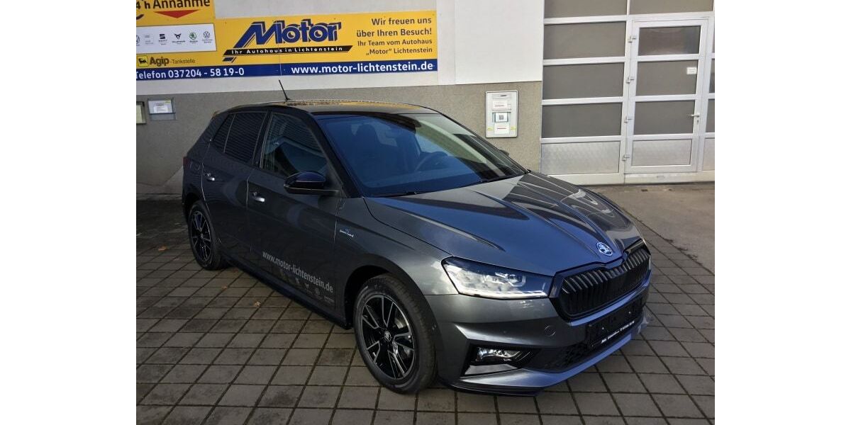 Skoda Fabia 2.000 km 27.330 € Lichtenstein 09350