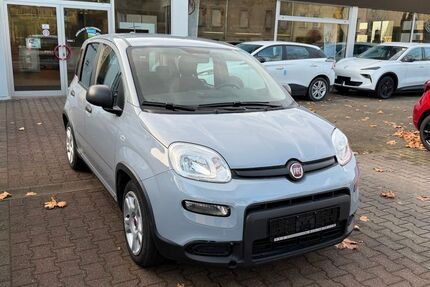 Fiat Panda 81.000 km 8.990 &euro; Burgstädt 09217