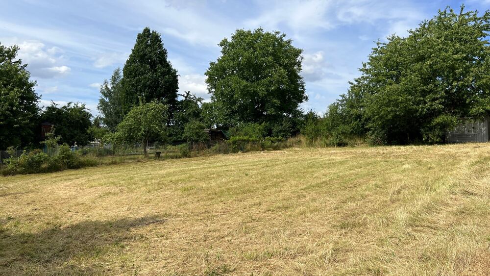 Grundstück mit Bau-Vorbescheid für ein EFH bei Mittweida - Grundstück Mittweida | Angebot:12966586