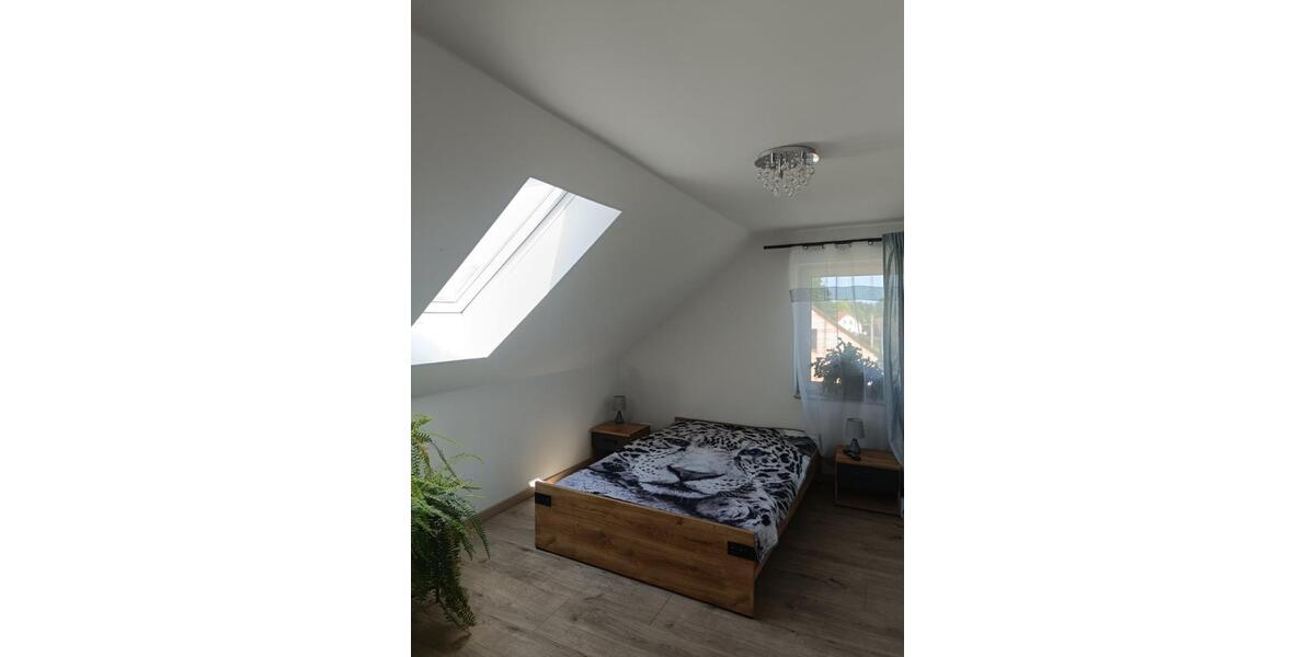 Freistehendes großes Einfamilienhaus Zweifamilienhaus kernsaniert 7 zimmer