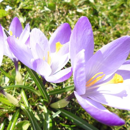 Lust auf neue Gasträume entstehen! zimmer