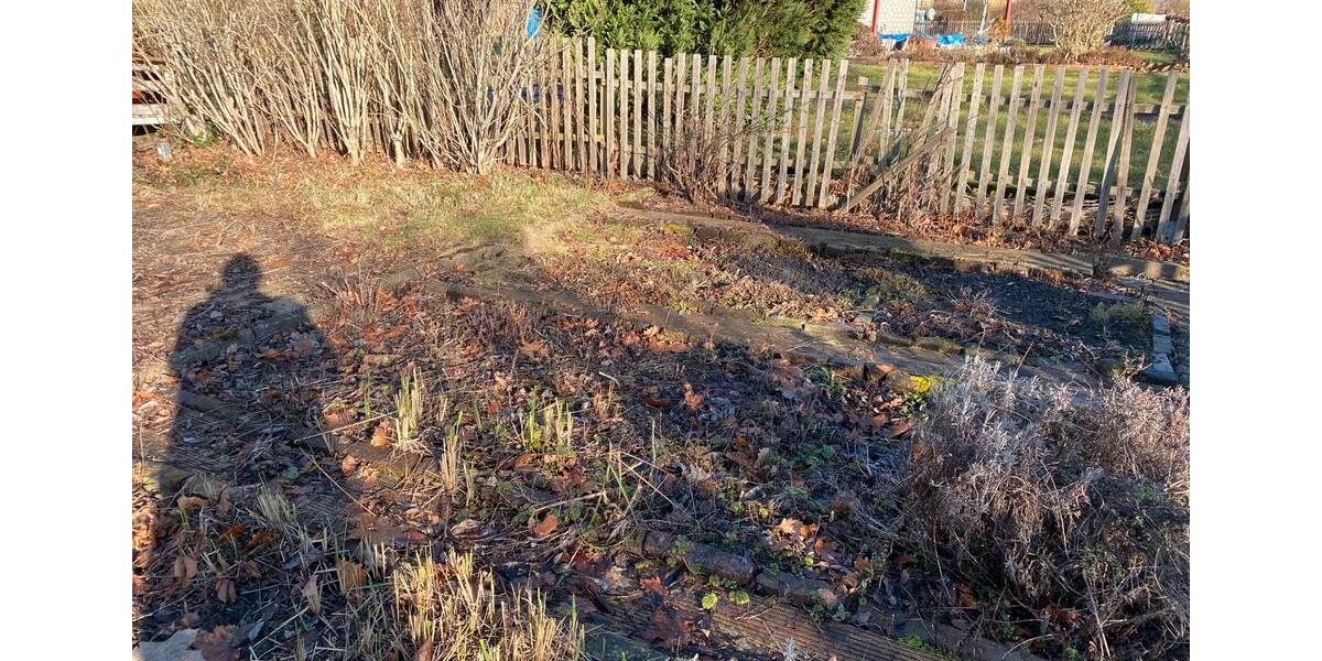 Grundstück Chemnitz Altendorf - 50&euro; | Angebot:24839762