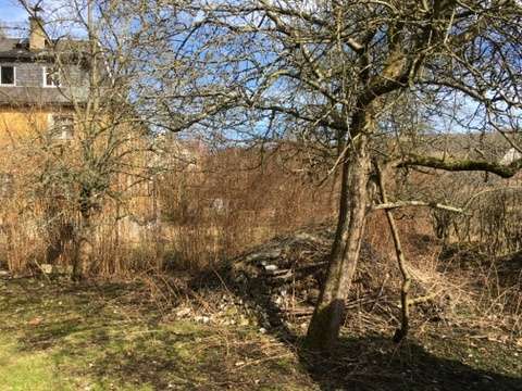Großes Baugrundstück mit Altbestand am Waldrand in idyllischer Lage zimmer