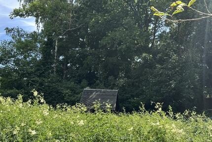 Ruhig gelegener Pachtgarten mit Gartenhaus (Laube), ca. 415m² Flä zimmer