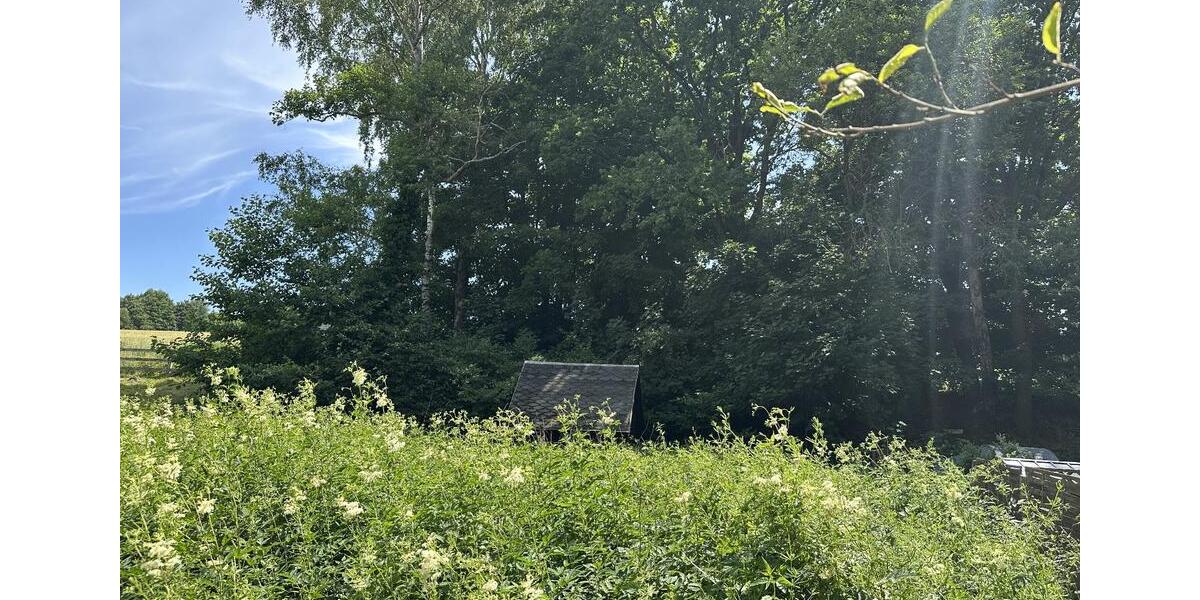Ruhig gelegener Pachtgarten mit Gartenhaus (Laube), ca. 415m² Flä zimmer