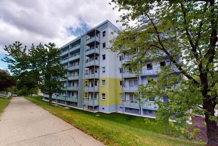 Barrierearmes Wohnen - 1-Raum-Wohnung mit ebenerdigen Aufzug 1 zimmer