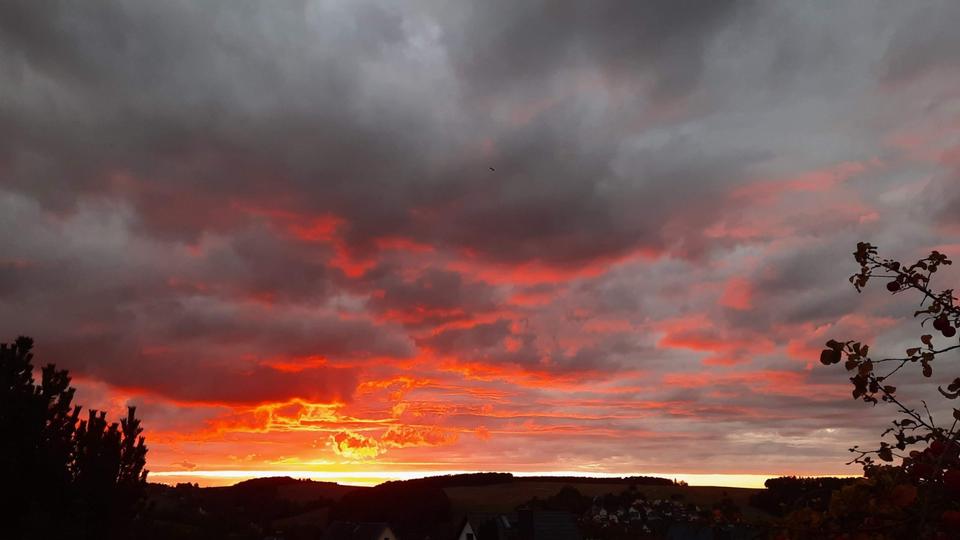 Grundstück Chemnitz Klaffenbach - 150&euro; | Angebot:25300030