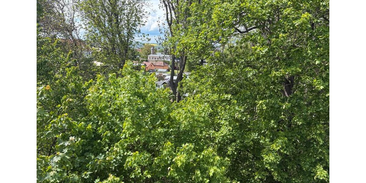 Etagenwohnung Chemnitz Adelsberg - 1 Zimmer, 41 m&sup2;, 375&euro; | Angebot:26704626