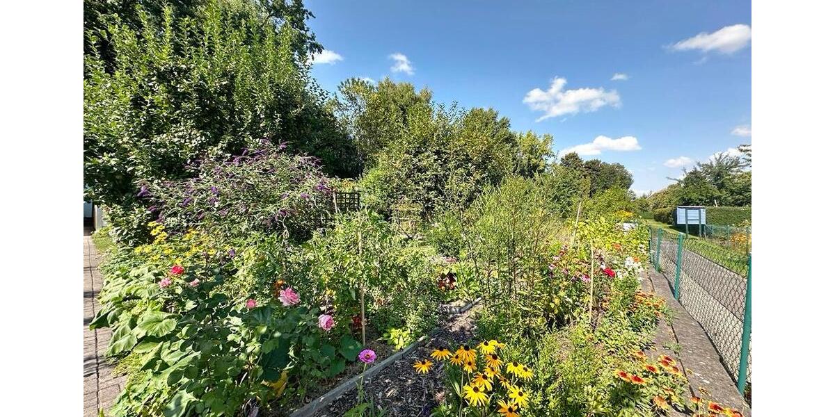 Grundstück Chemnitz Borna-Heinersdorf - 990&euro; | Angebot:26646441