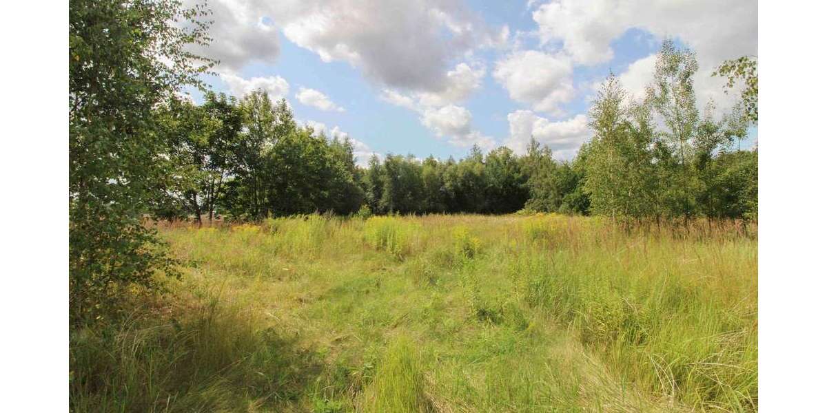 Grundstück Chemnitz Adelsberg - 222.000&euro; | Angebot:26554078
