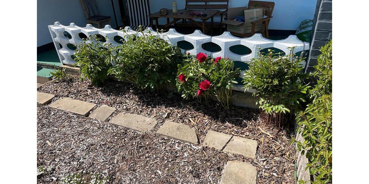 Grundstück Chemnitz Borna-Heinersdorf - 3.500&euro; | Angebot:26167977