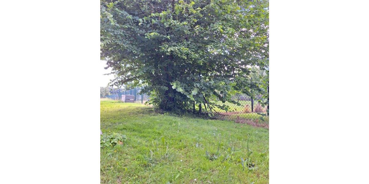 Frisch sanierte gemütliche 3-Raum Wohnung Haus Immobilie 3 zimmer