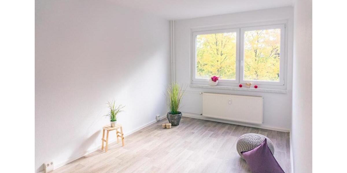 2-Raum-Wohnung zum Sofortbezug nahe Schlossteich 2 zimmer