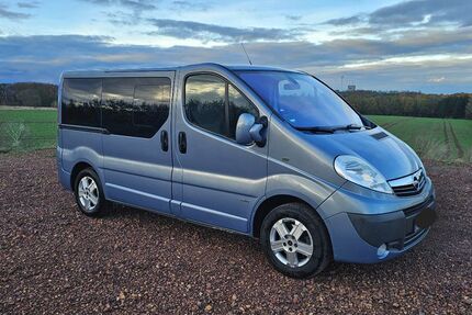 Opel Vivaro 243.632 km 6.500 € Mülsen 08132