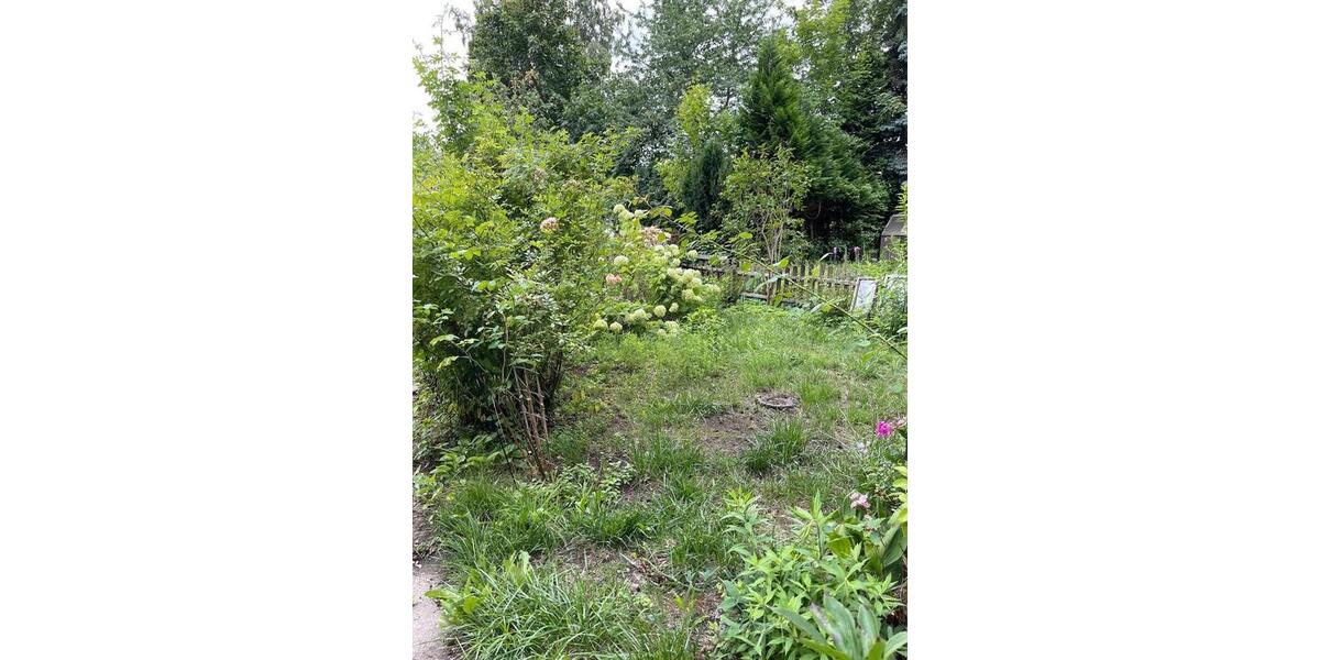 Grundstück Chemnitz Altendorf - 50&euro; | Angebot:24839762