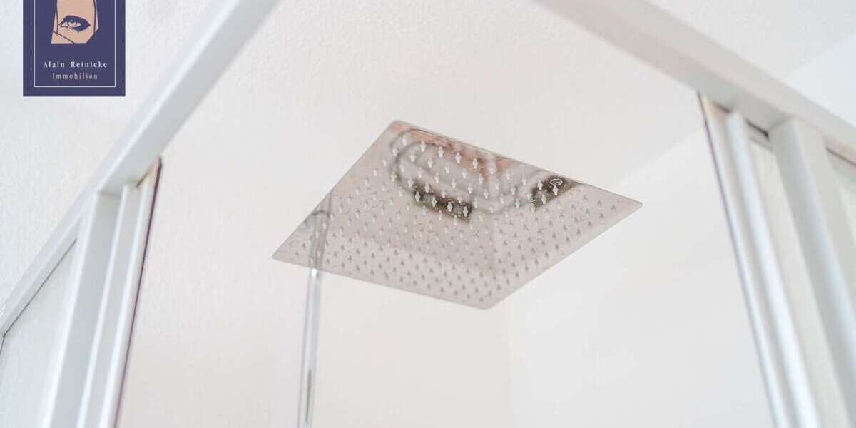 Helle lichtdurchflutete Wohnung in Schloßchemnitz mit Loftcharakter 4 zimmer