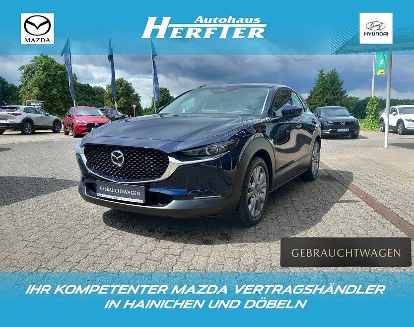CX-30