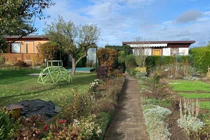 TOP! großer GEPFLEGTER Kleingarten Schrebergarten abzugeben zimmer