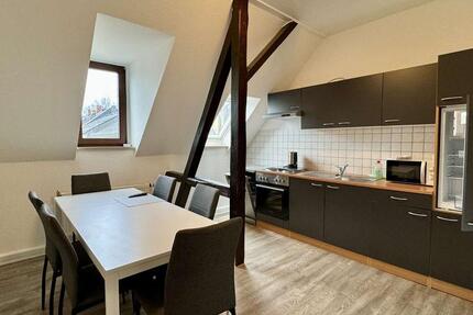 Lichtdurchflutete große 3-Raumwohnung mit Einbauküche und Garten 3 zimmer