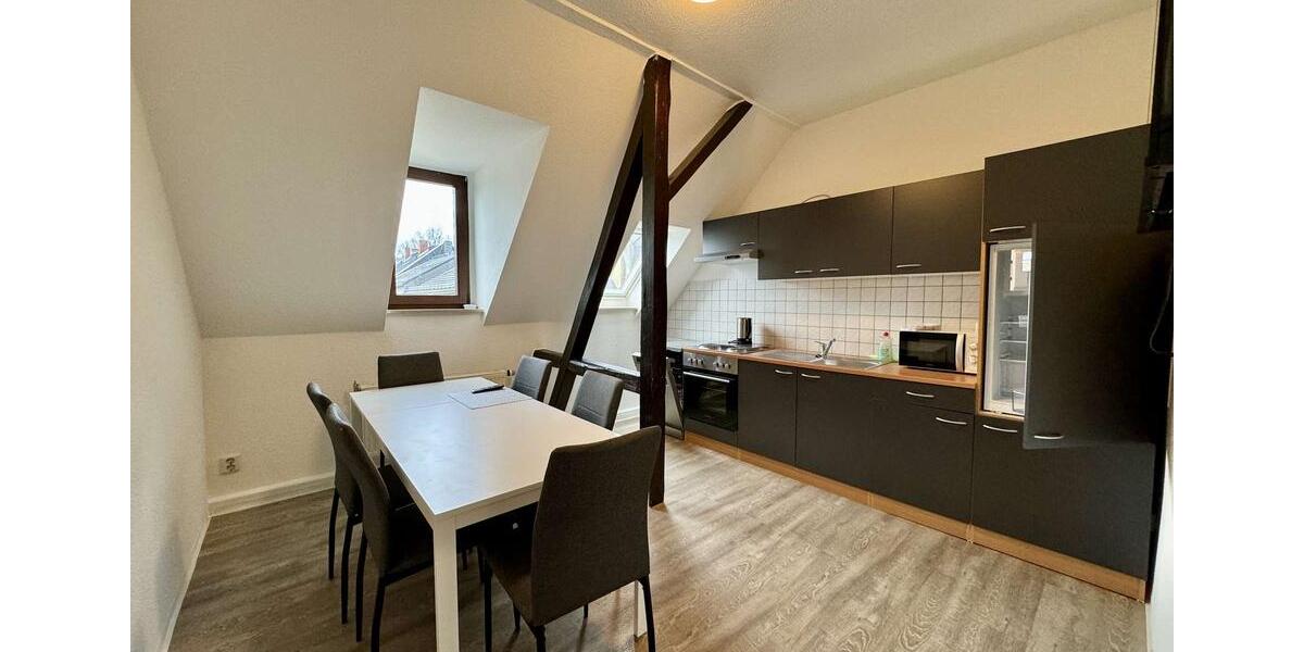 Lichtdurchflutete große 3-Raumwohnung mit Einbauküche und Garten 3 zimmer