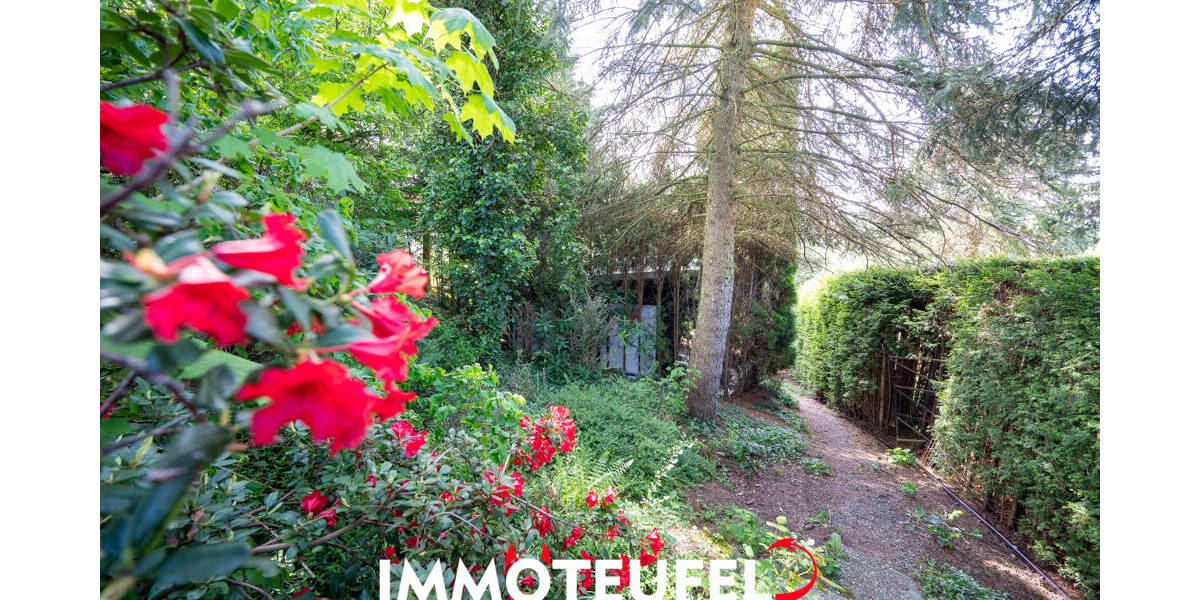 Natur genießen am Stadtrand von Chemnitz - Freizeitgrundstück mit Bungalow, Gartenhaus und Ausblick zimmer