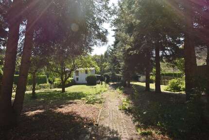 Grundstück Chemnitz Ebersdorf - 55.000&euro; | Angebot:22528732