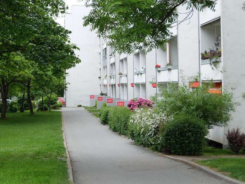 Wohnung zum Mieten in Chemnitz 360 € 68.89 m²