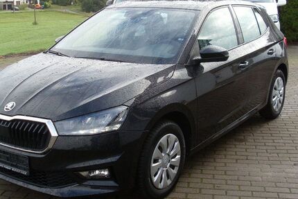 Skoda Fabia 30.100 km 14.200 &euro; Waldheim 04736