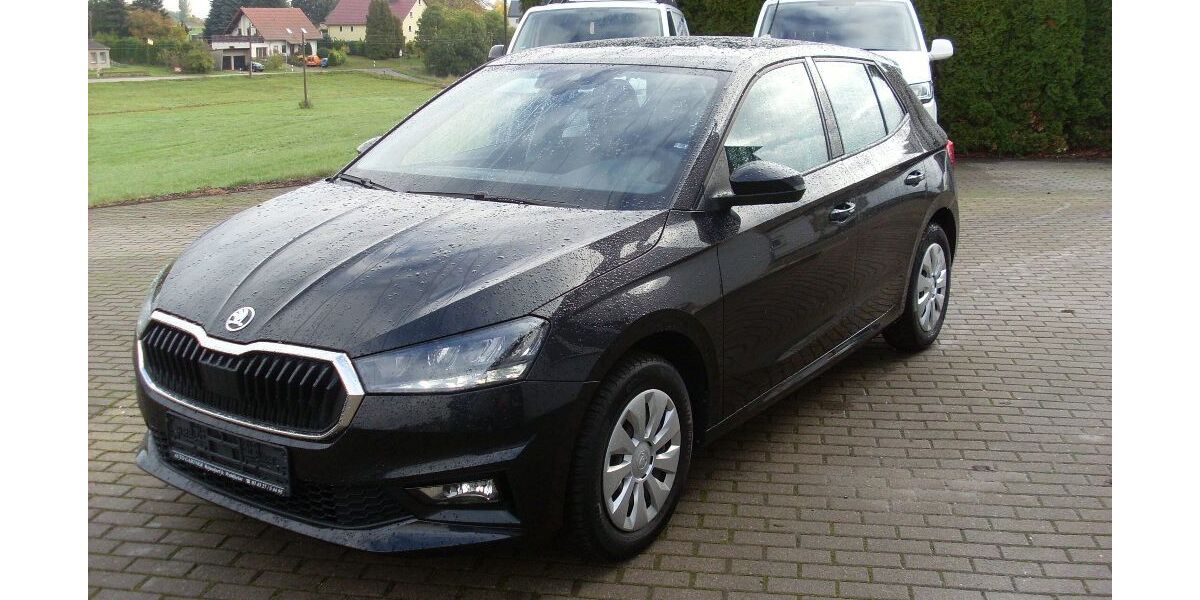 Skoda Fabia 30.100 km 14.200 &euro; Waldheim 04736