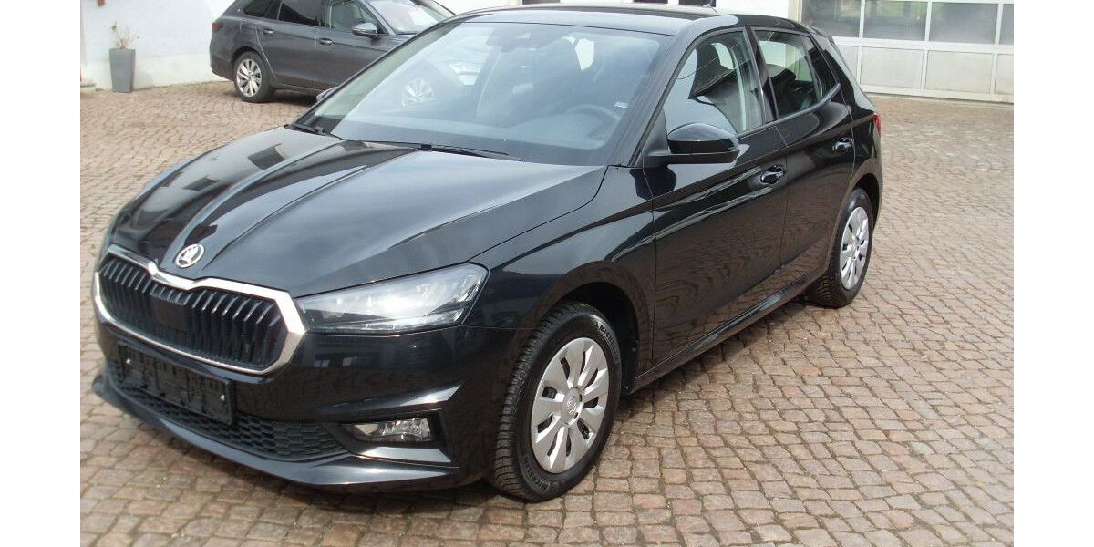 Skoda Fabia 33.500 km 16.990 &euro; Waldheim 04736