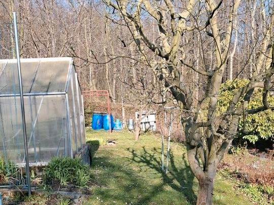 Grundstück Chemnitz Borna-Heinersdorf - 2.500&euro; | Angebot:26025598