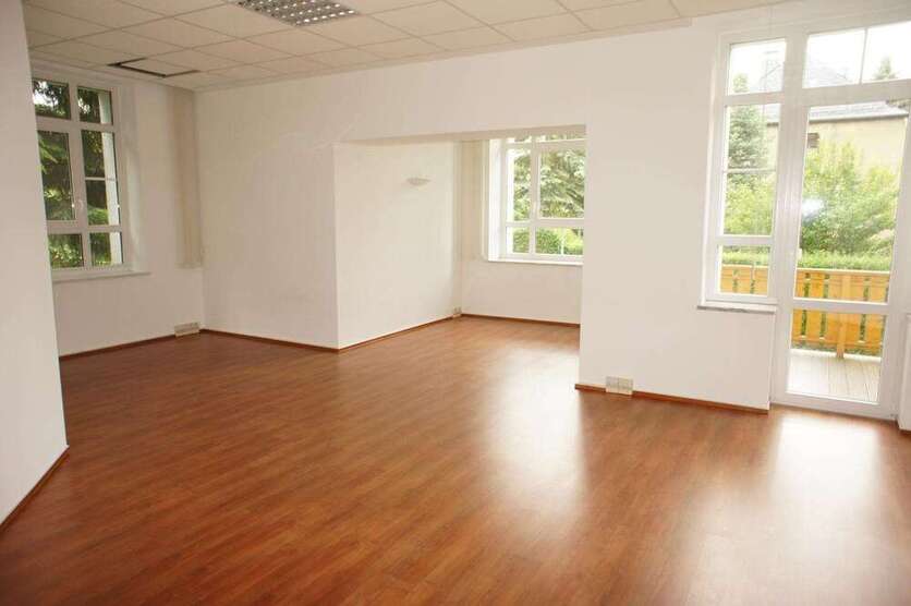 Wohnung zum Mieten in Chemnitz 1.150 € 195 m²