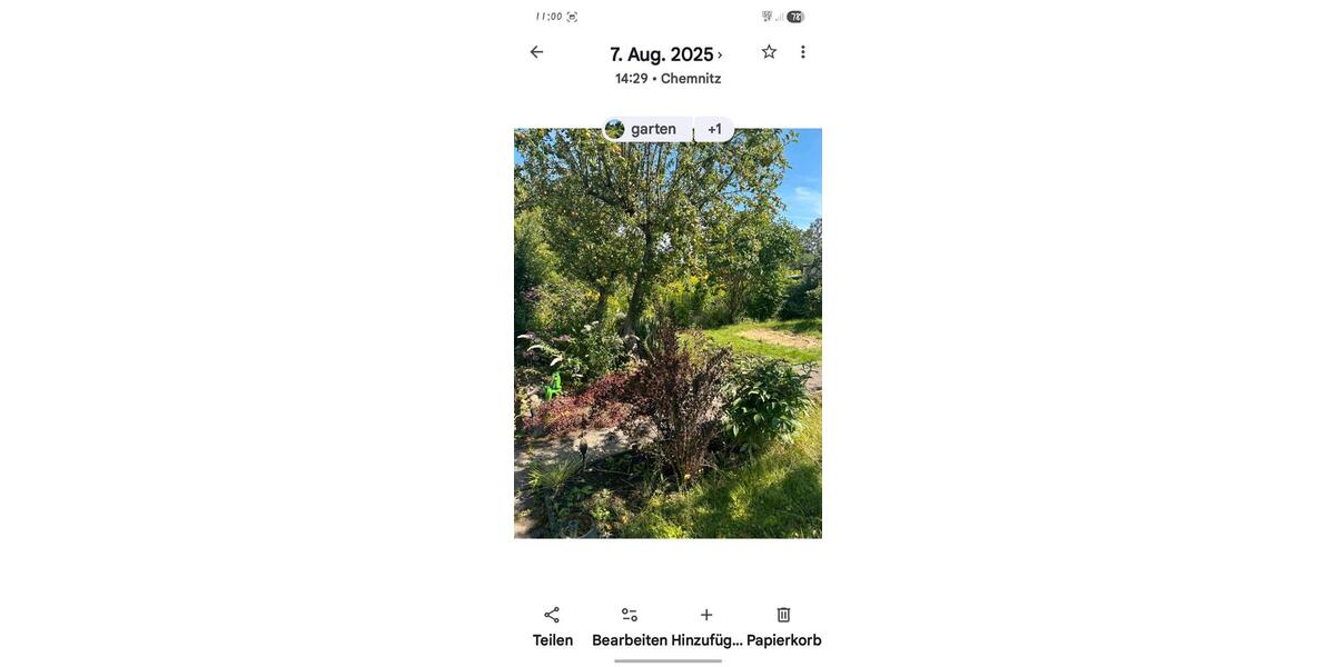 Grundstück Chemnitz - 350&euro; | Angebot:26611172