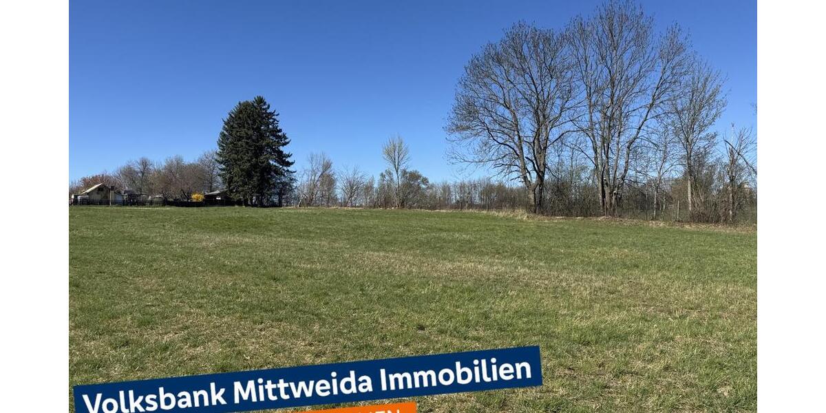 Baugrundstück mit 6.150 m², für 1-6 EFH, in sehr guter Wohnlage! - Grundstück Hainichen | Angebot:26313368