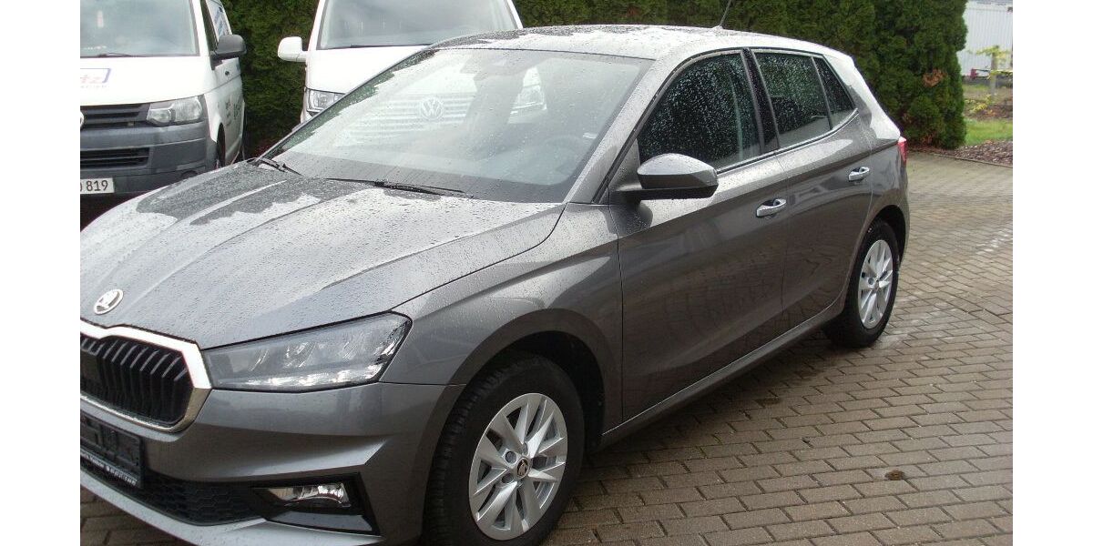Skoda Fabia 36.990 km 13.800 &euro; Waldheim 04736