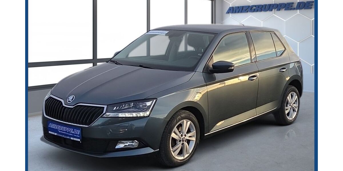 Skoda Fabia 114.390 km 10.390 &euro; Stollberg 09366