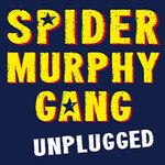 Spider Murphy Gang - Unplugged | Sommerfestival 2026 Freilichtbühne Altusried