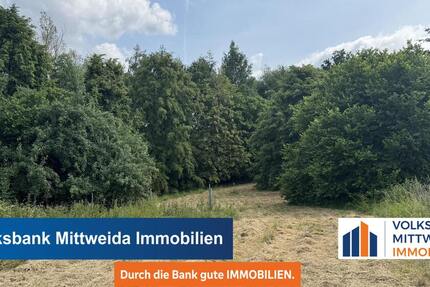 5260m² Großes Grundstück - bebaut mit Scheune und Werkstatt - Wald und Wiese! zimmer