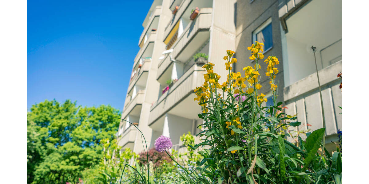 Etagenwohnung Chemnitz Borna-Heinersdorf - 3 Zimmer, 54 m&sup2;, 300&euro; | Angebot:26929897