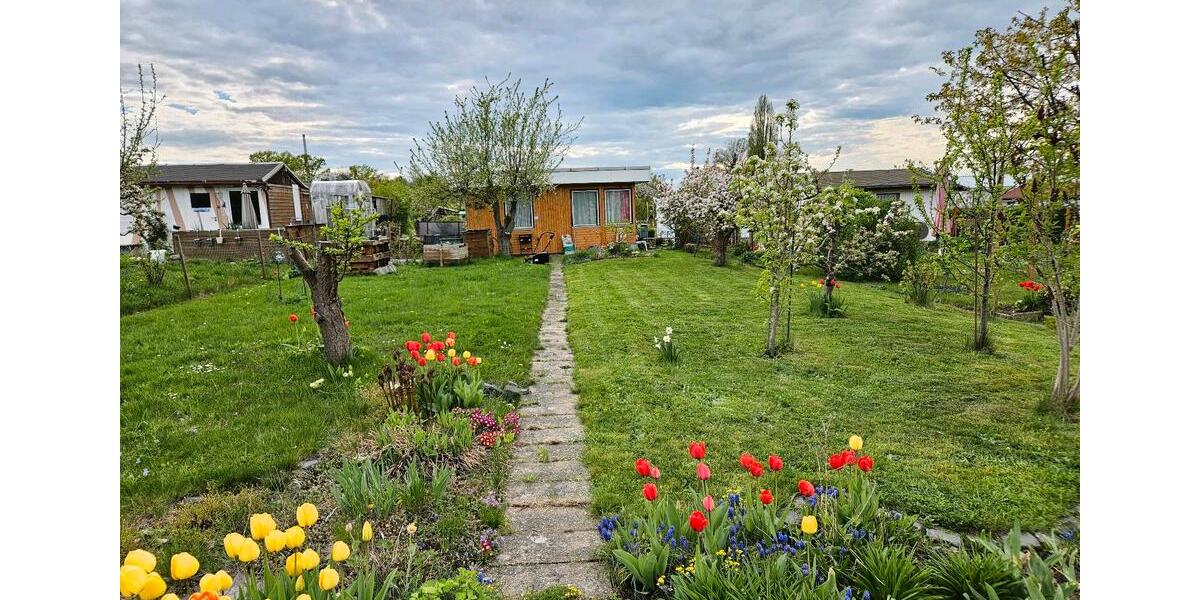 Grundstück Chemnitz Adelsberg - 2.000&euro; | Angebot:22217285